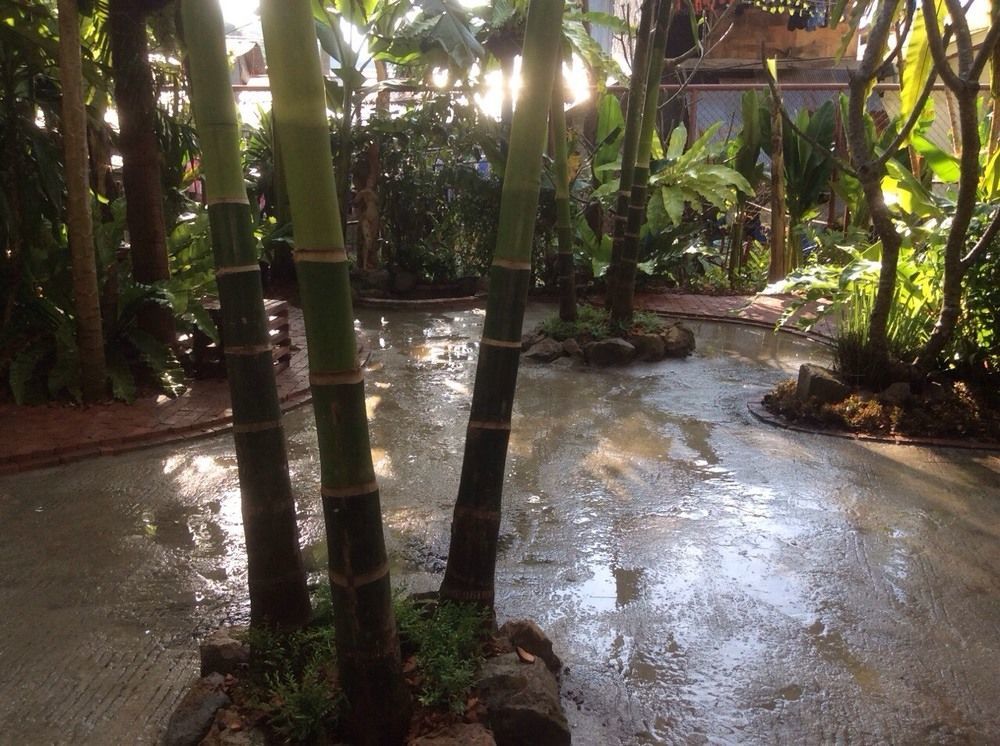 Oyo 585 Freedom Hostel @ Phi Phi 外观 照片