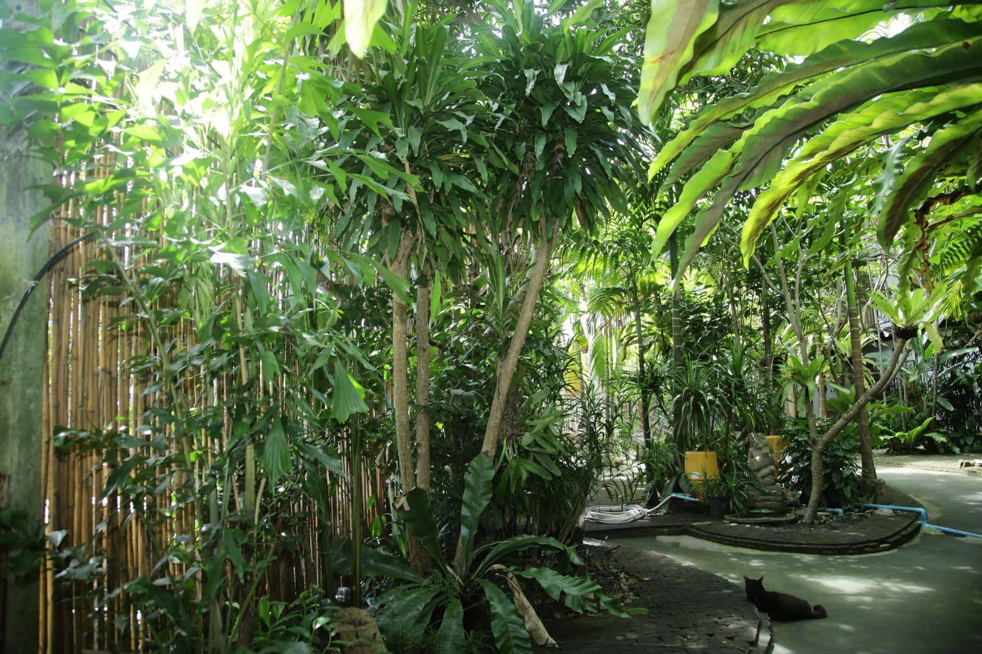 Oyo 585 Freedom Hostel @ Phi Phi 外观 照片