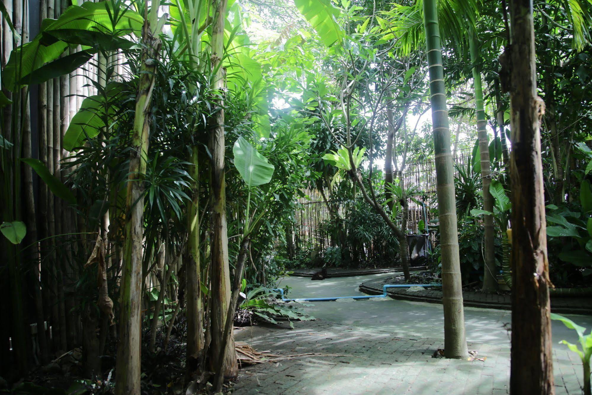 Oyo 585 Freedom Hostel @ Phi Phi 外观 照片