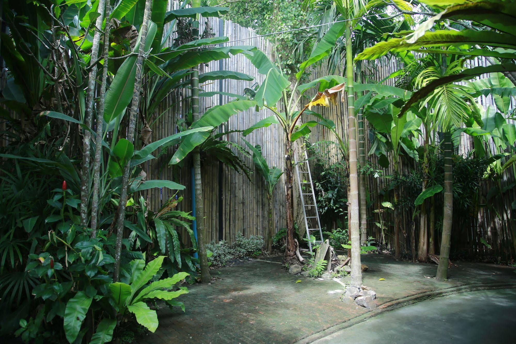 Oyo 585 Freedom Hostel @ Phi Phi 外观 照片