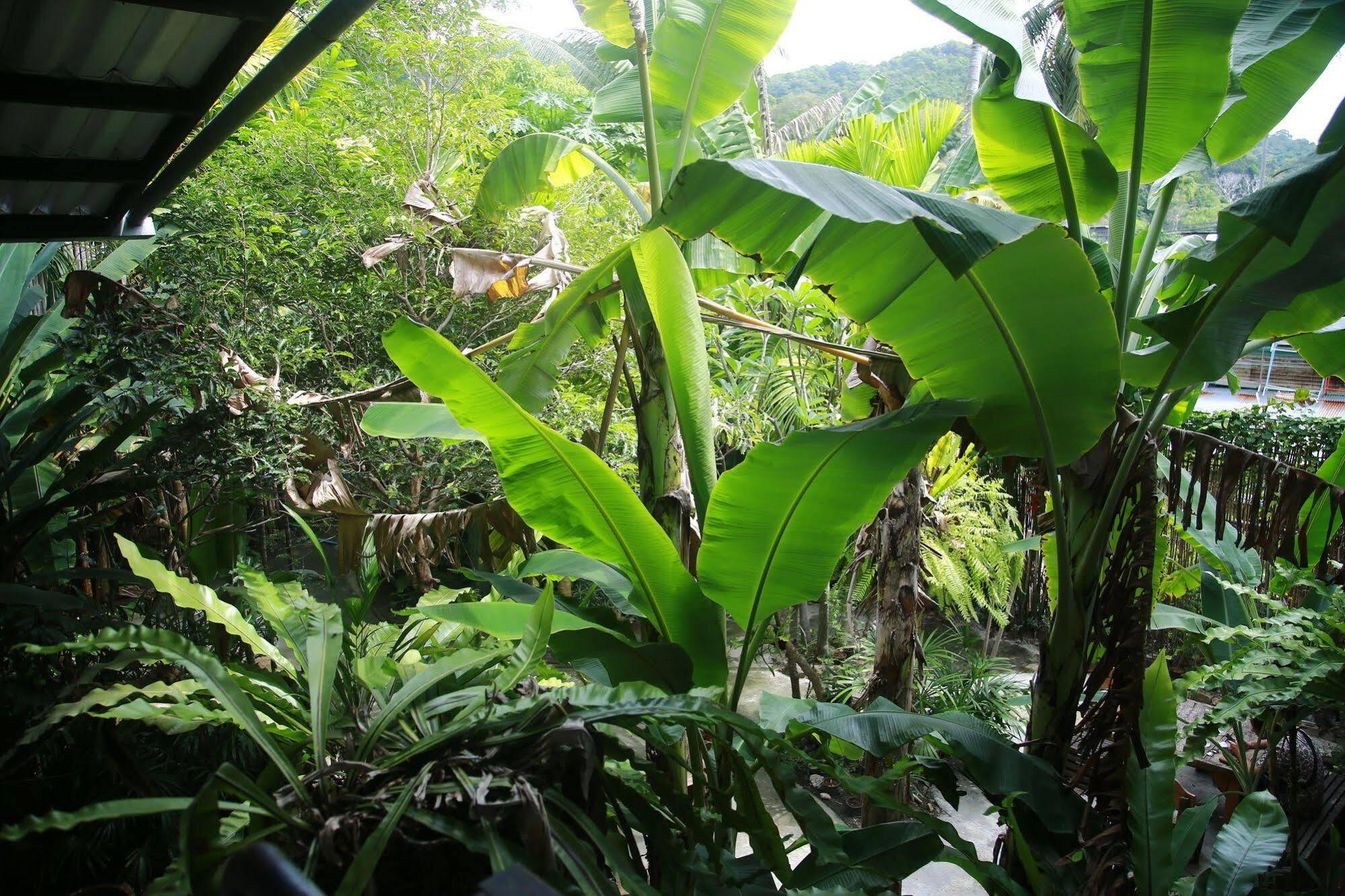 Oyo 585 Freedom Hostel @ Phi Phi 外观 照片